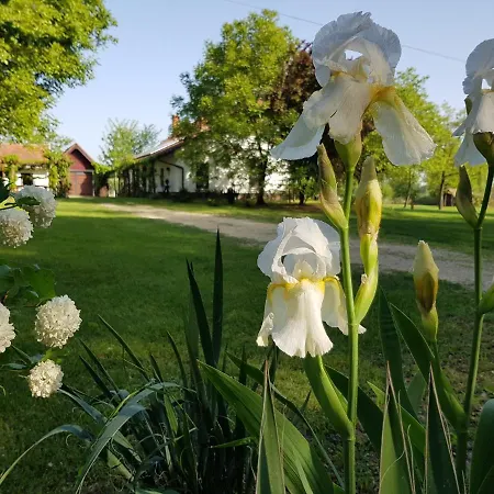 Holiday home Szeruskert Vendeghaz *