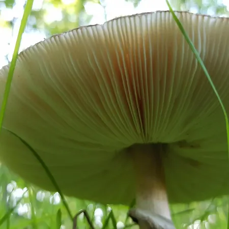 Szeruskert Vendeghaz Holiday home *