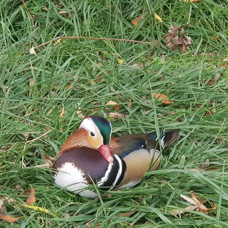 Holiday home Szeruskert Vendeghaz *