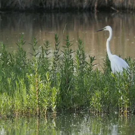 Szeruskert Vendeghaz *